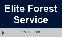 Elite Forest Service logo